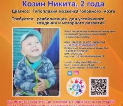 Сбор для Никиты!