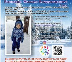 Сбор для Миши закрыт!