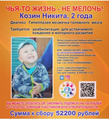 Сбор для Никиты!