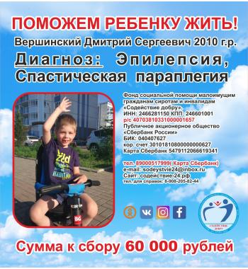 Вершинский Дмитрий СУММА К СБОРУ 60 000 руб