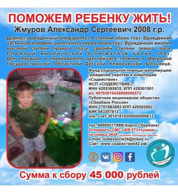 Жмуров Александр сумма к сбору 45 000 руб