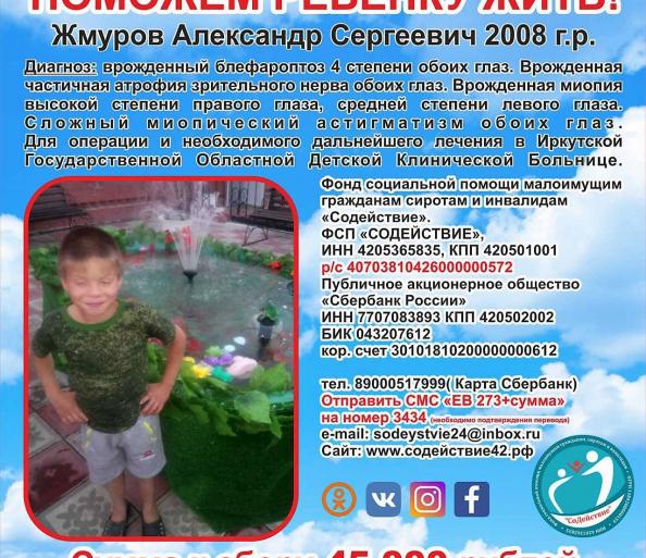 Жмуров Александр сумма к сбору 45 000 руб