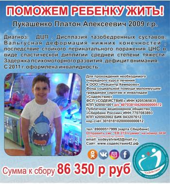 Лукашенко Платон сумма к сбору 86 350 руб