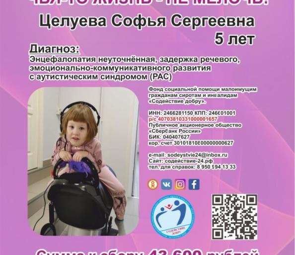 Поможем Софии пройти реабилитацию